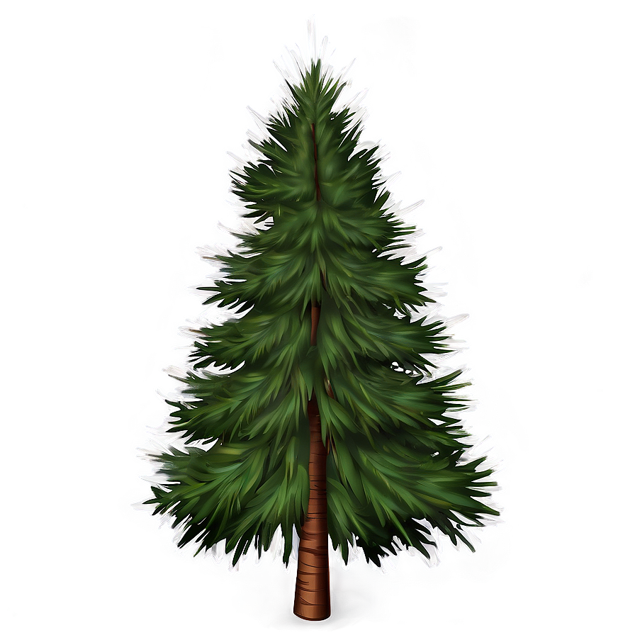 Evergreen Tree Sunrise Png Ccv26 PNG Image