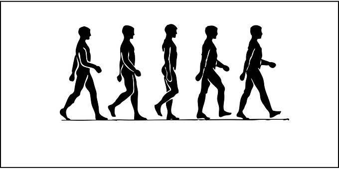 Evolutionof Man Silhouette PNG Image