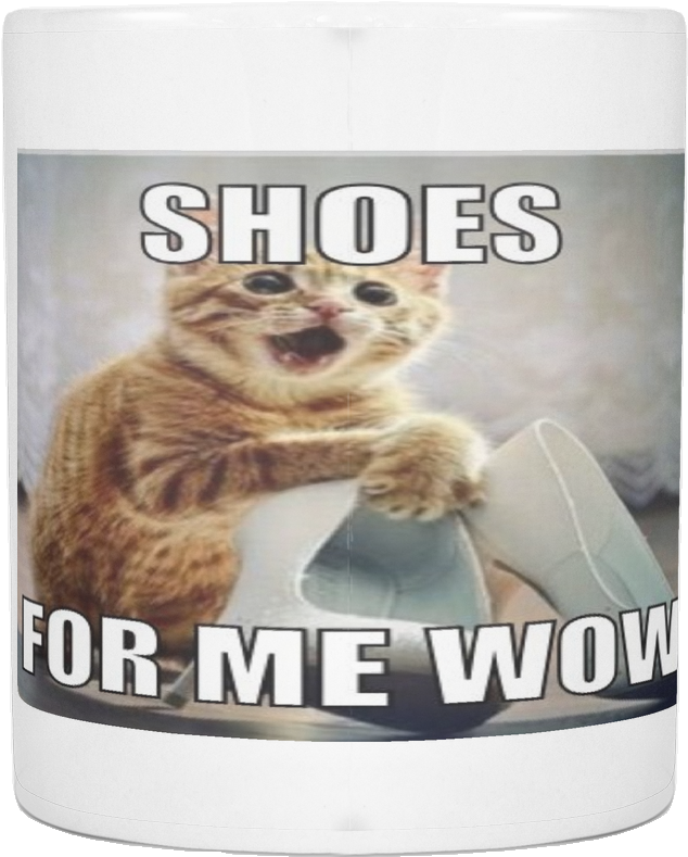 Excited Cat With Shoes Meme PNG Image