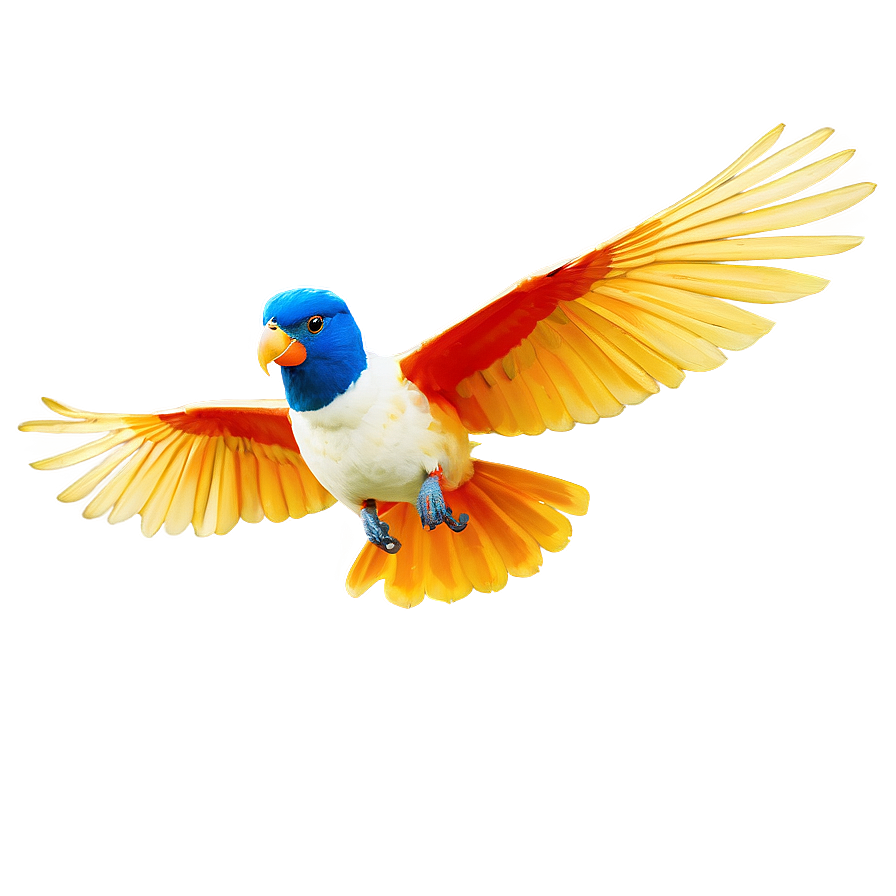 Exotic Bird Mid-flight Png Avx99 PNG Image