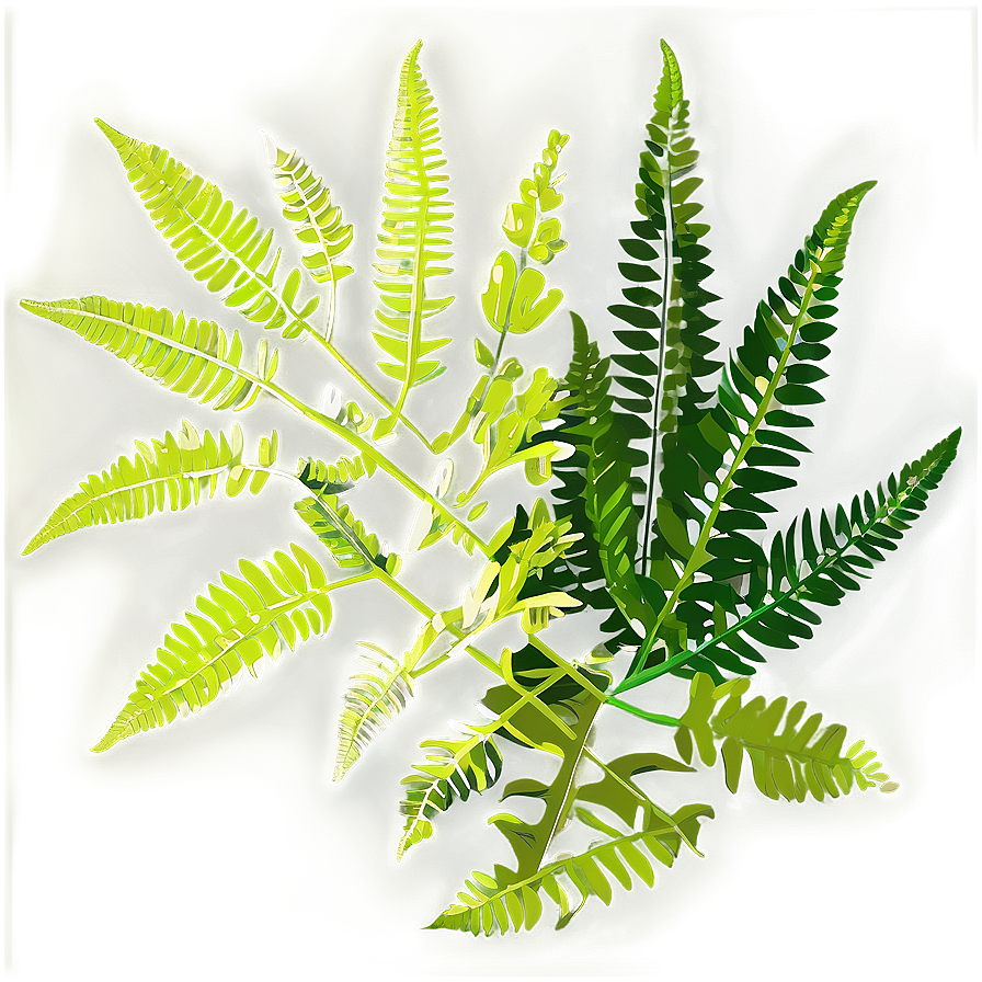 Exotic Fern Leaf Pattern Png Yfj PNG Image