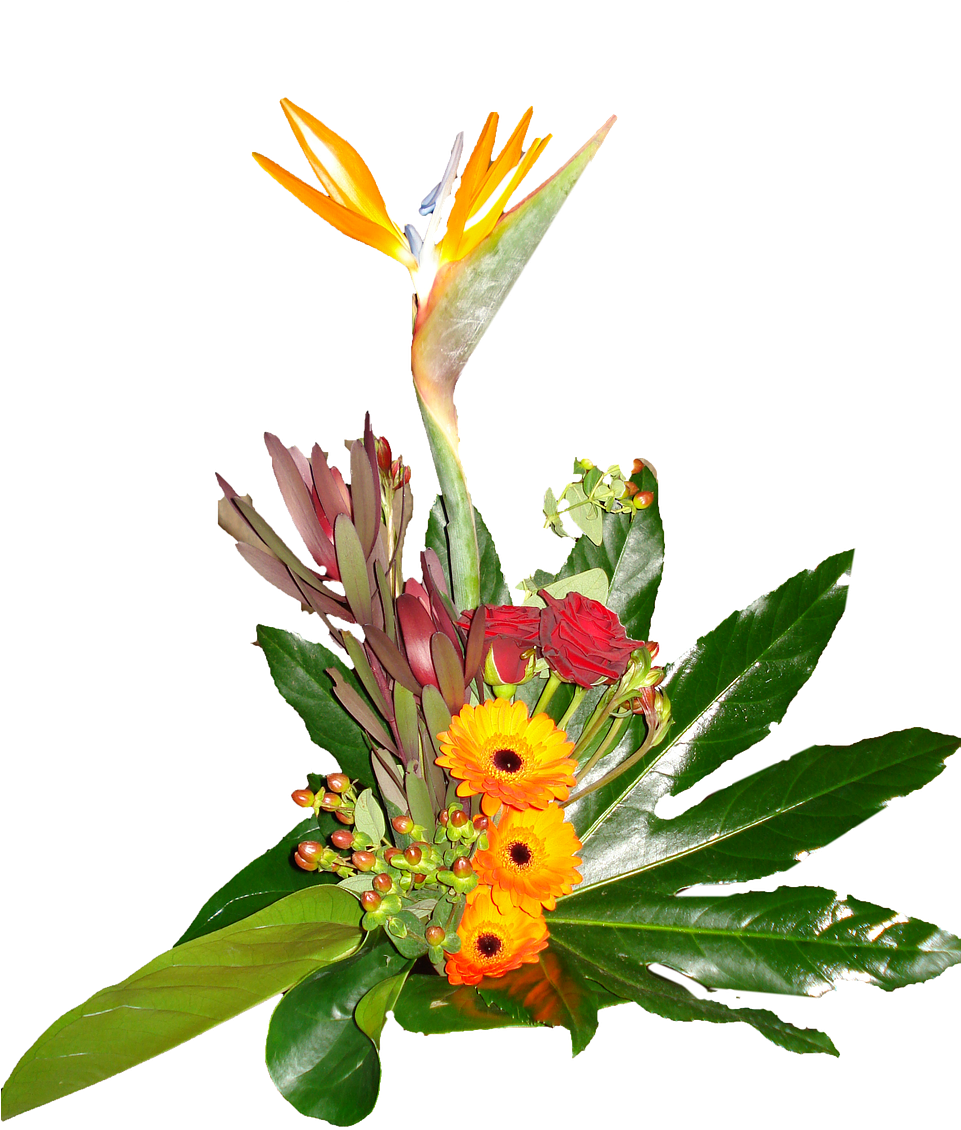 Exotic_ Floral_ Arrangement.png PNG Image