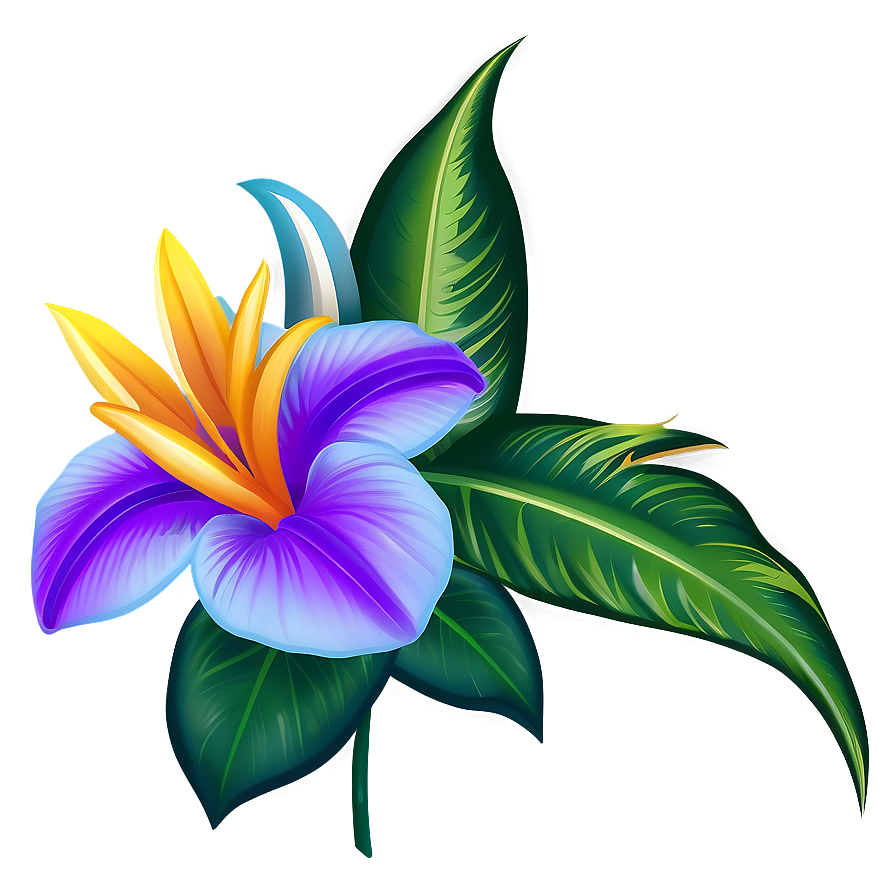 Exotic Flower Clipart Png 05252024 PNG Image