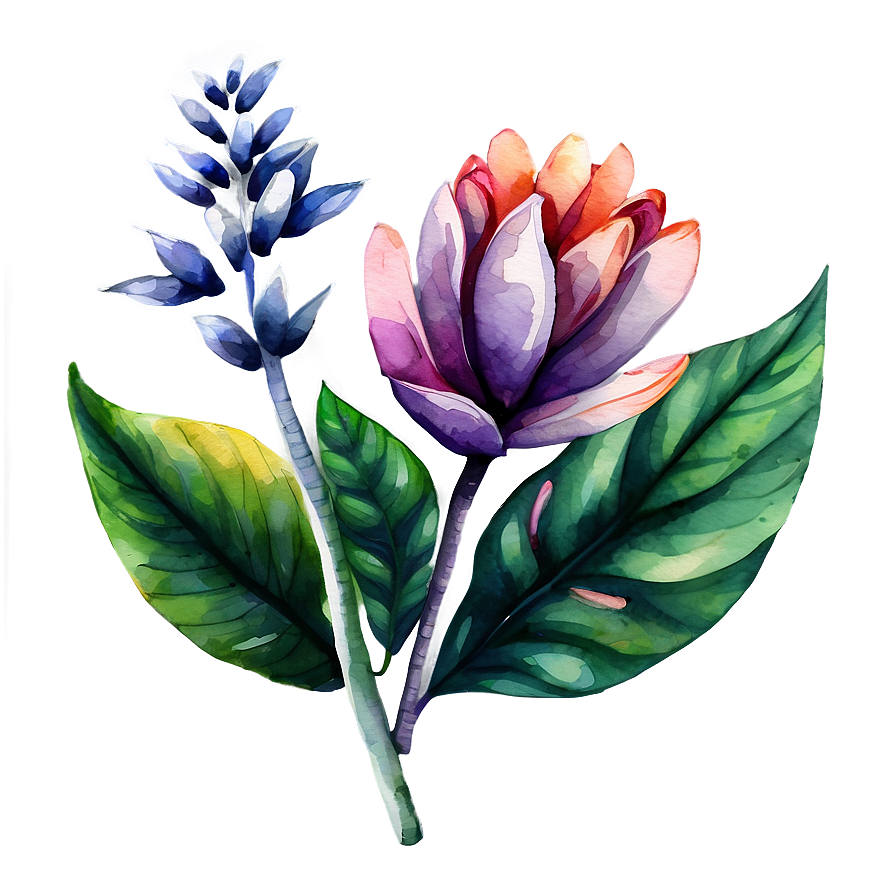 Exotic Flower Watercolor Png 06272024 PNG Image