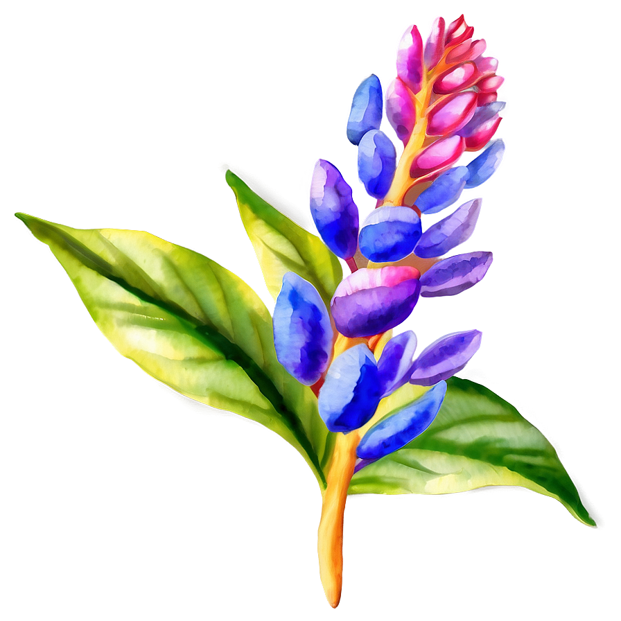 Exotic Flower Watercolor Png Dbn PNG Image