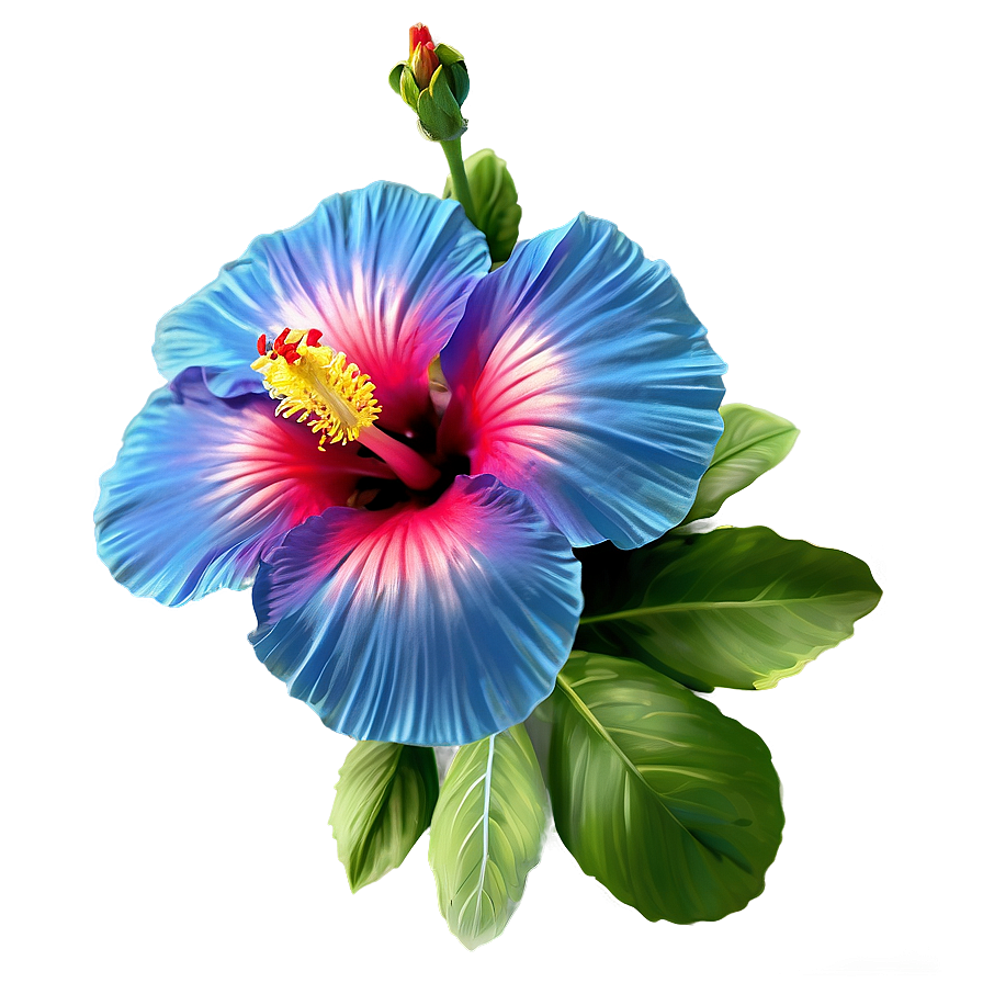 Exotic Hibiscus Png Woc PNG Image