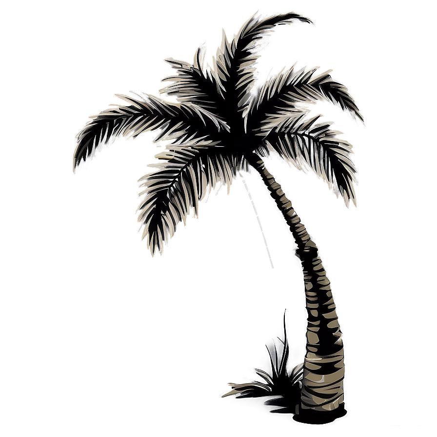 Exotic Palm Tree Silhouette Png 4 PNG Image