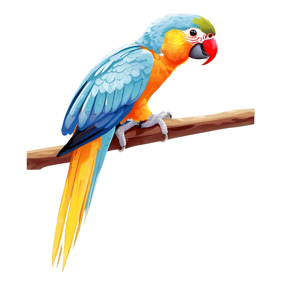 Exotic Parrot Species Png Pqi PNG Image