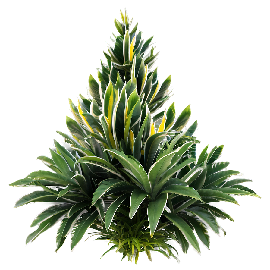 Exotic Shrub Png 05252024 PNG Image