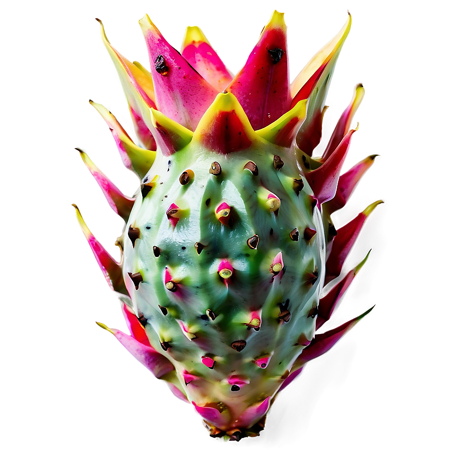 Exotic Tropical Dragonfruit Png Duf PNG Image