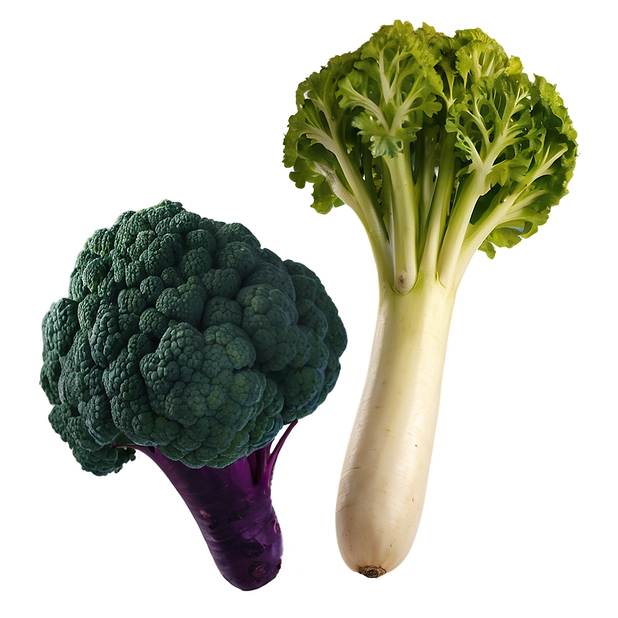 Exotic Vegetables Png Xan88 PNG Image