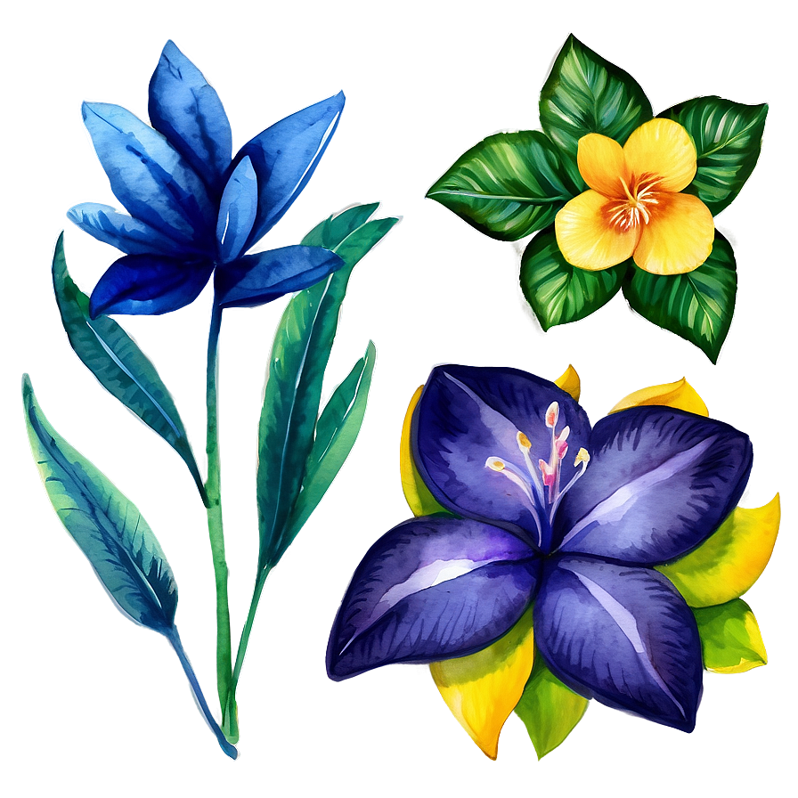 Exotic Watercolor Flowers Png Ewd PNG Image