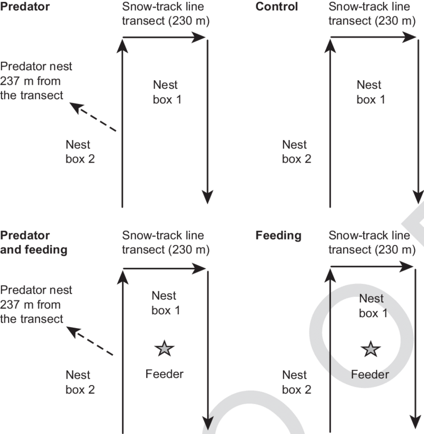 Experimental Design Predator Control Feeding PNG Image