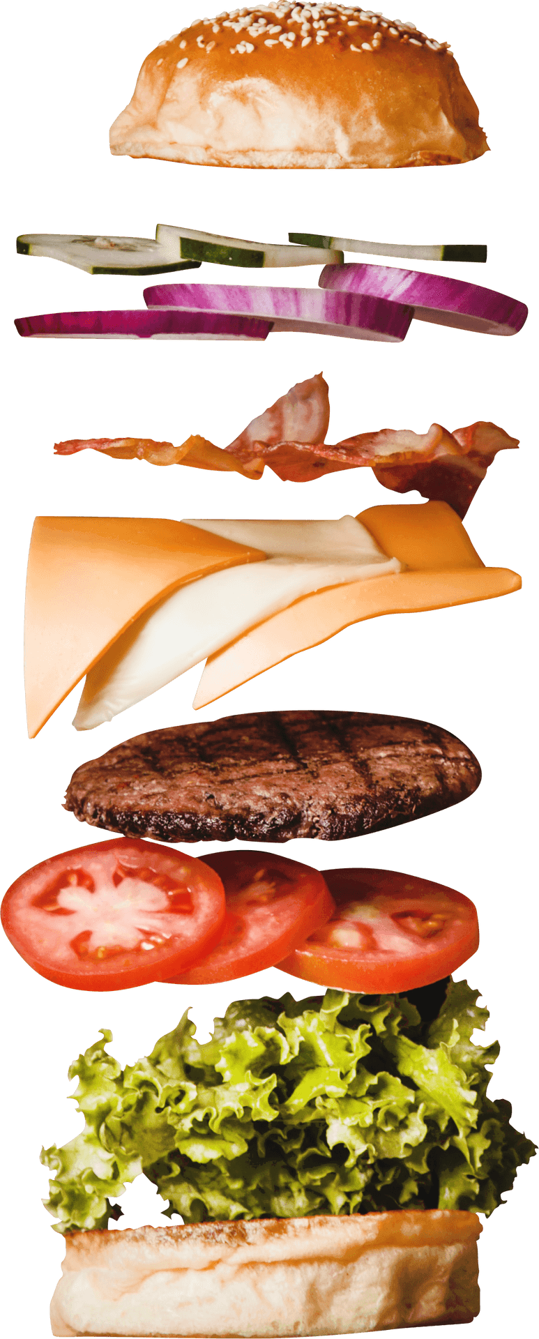 Exploded View Cheeseburger Components PNG Image