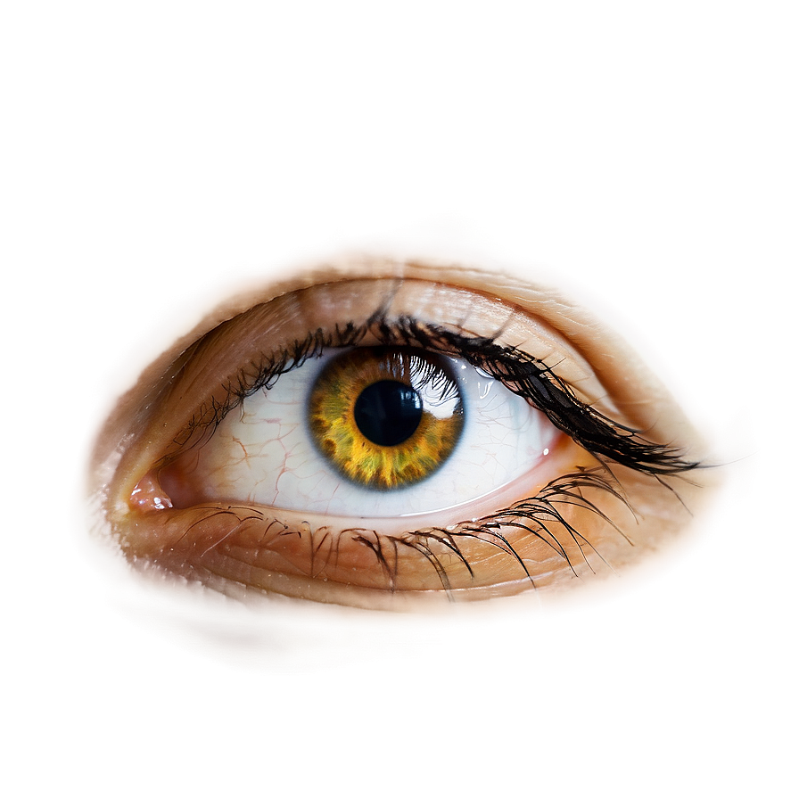 Eye Contact Lens Transparent Png Pob62 PNG Image