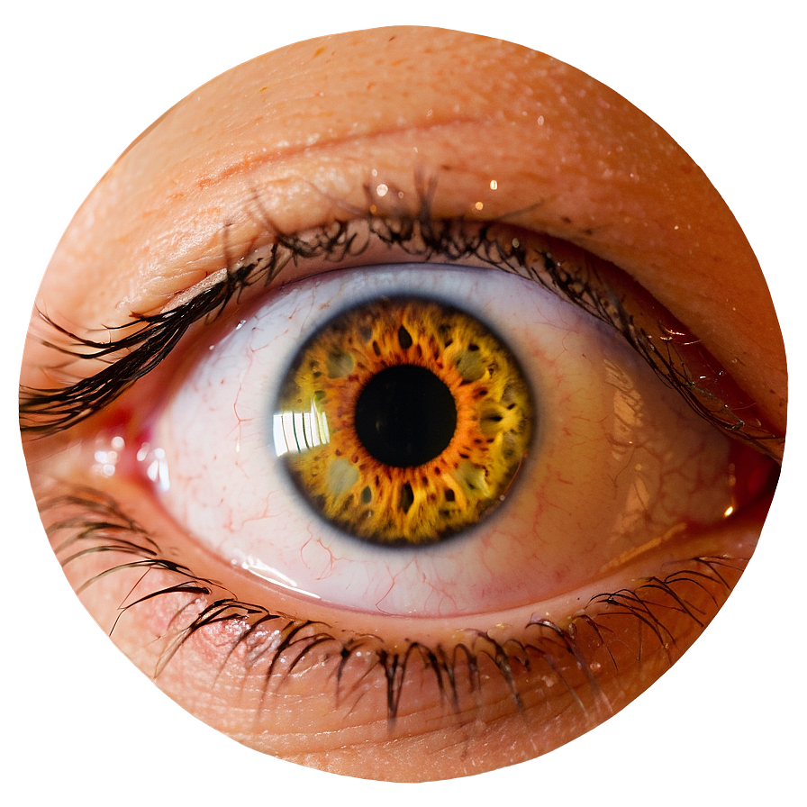 Eye Detail Transparent Png Rmn80 PNG Image