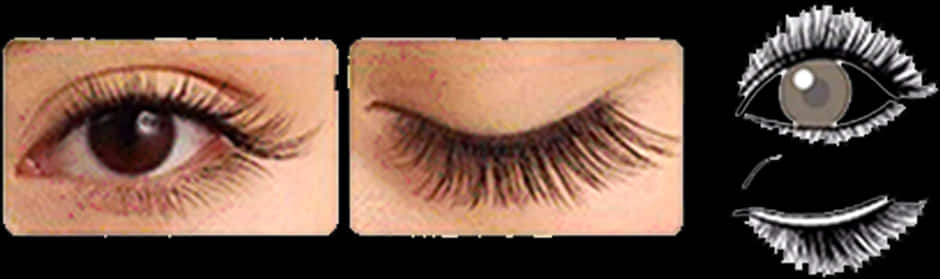 Eyelash Extensions Before After Illustration PNG Image