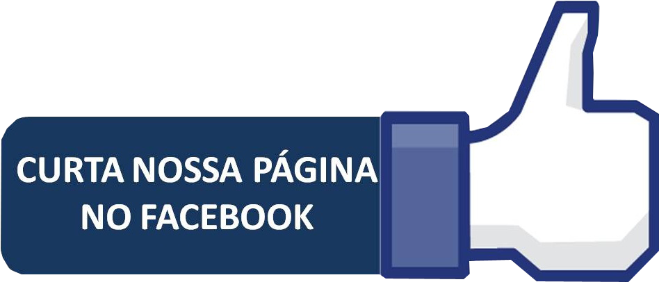 Facebook Like Button Brazilian Portuguese PNG Image