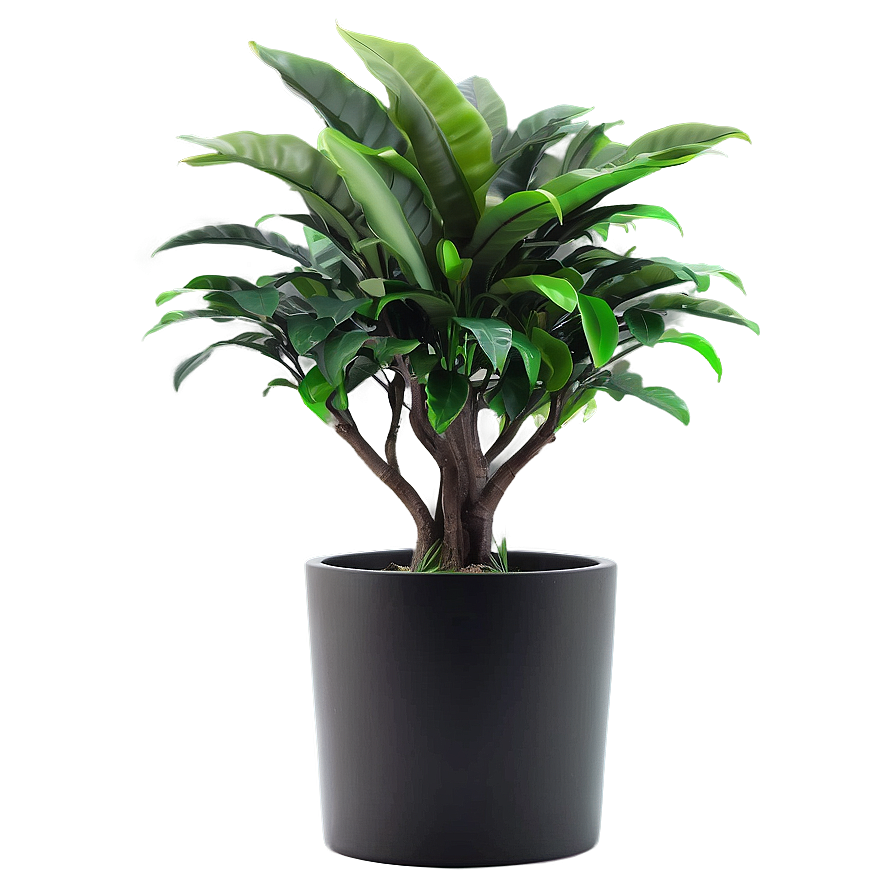 Fake Plant For Office Desk Png Rdi PNG Image