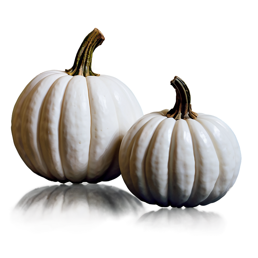 Fall Decor White Pumpkin Png Exd PNG Image