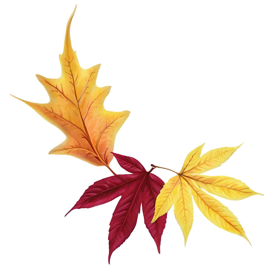 Fall Foliage Png Ulj PNG Image