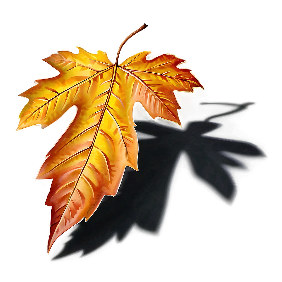 Fall Leaf With Shadow Png 05252024 PNG Image