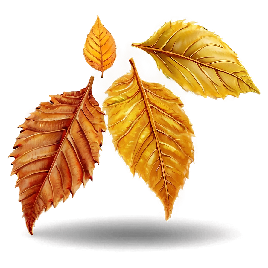 Fallen Leaves Under Trees Png Ijf43 PNG Image