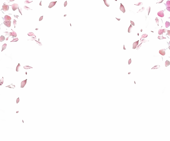 Falling Pink Petals Animation PNG Image