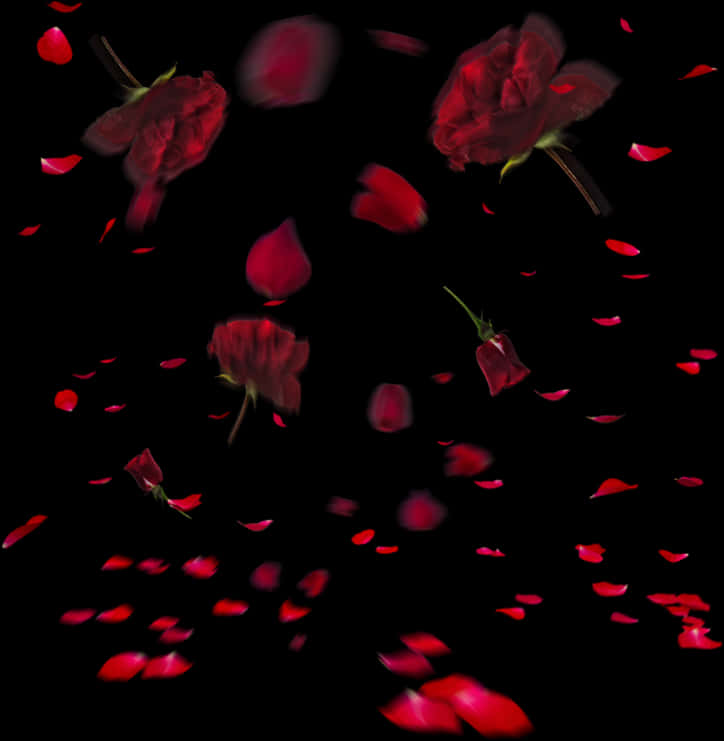 Falling Red Rose Petalsand Blooms PNG Image