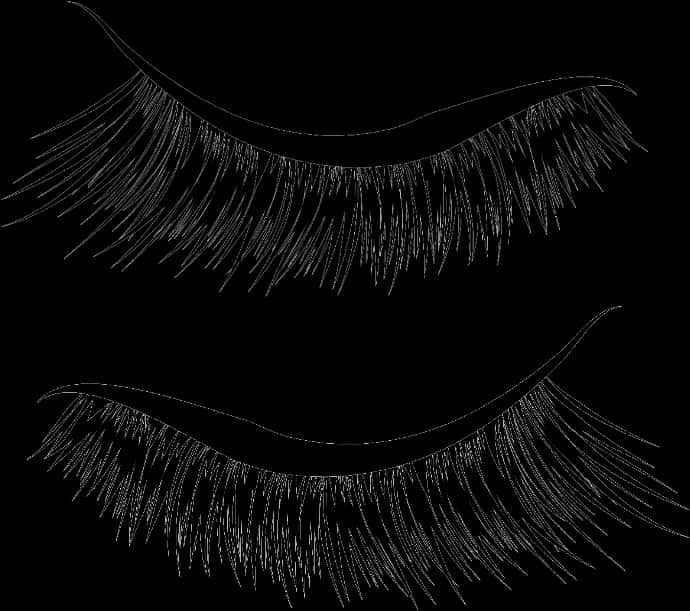 False Eyelashes Vector Illustration PNG Image