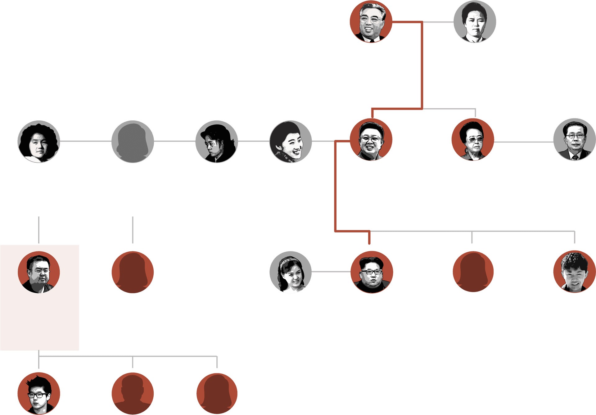 Family Tree Graphic Representation PNG Image