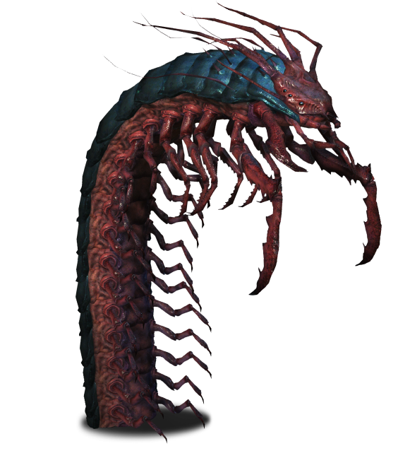 Fantasy Centipede Creature Artwork PNG Image