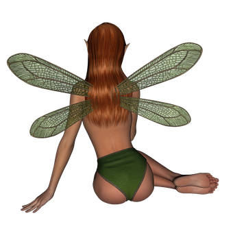 Fantasy_ Fairy_ Back_ View PNG Image