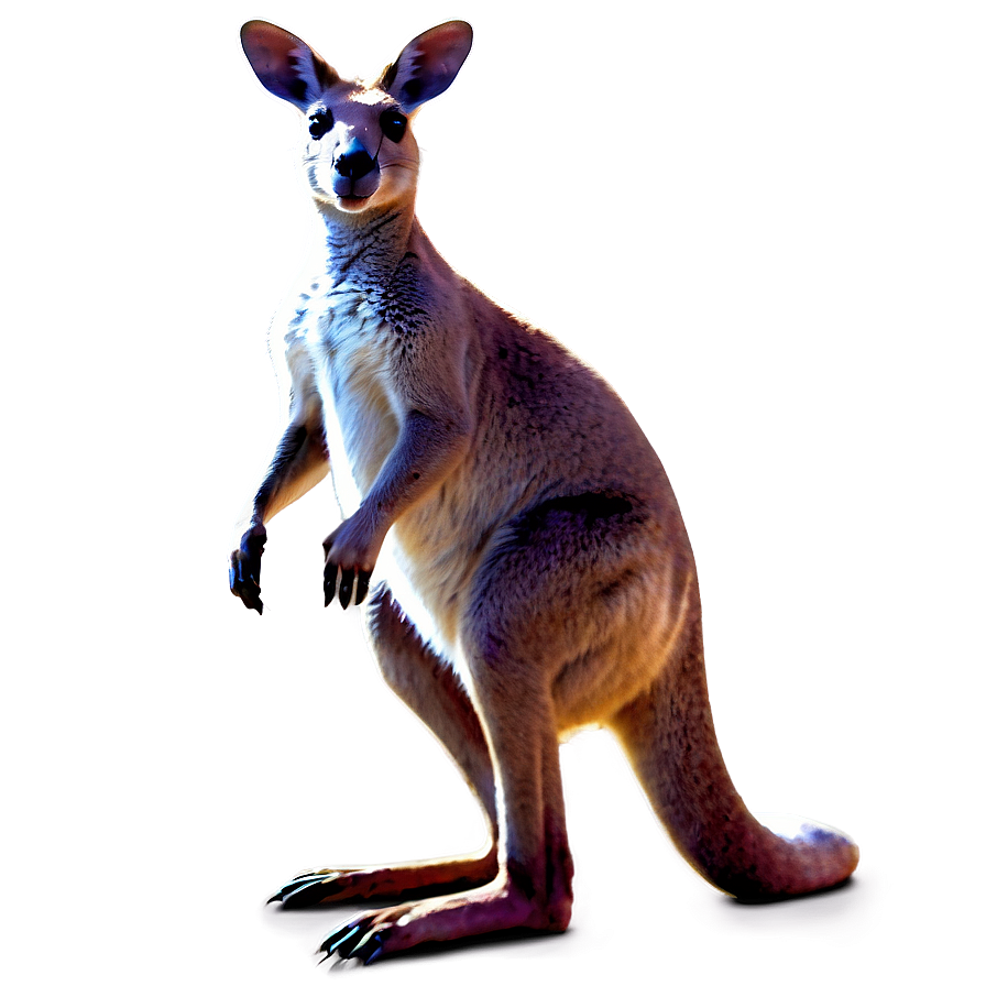 Fantasy Kangaroo Png 39 PNG Image