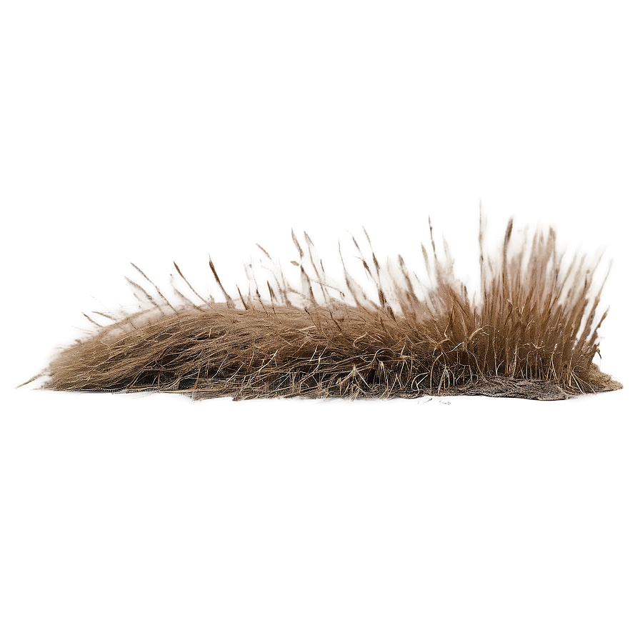 Farm Dry Grass Png 79 PNG Image