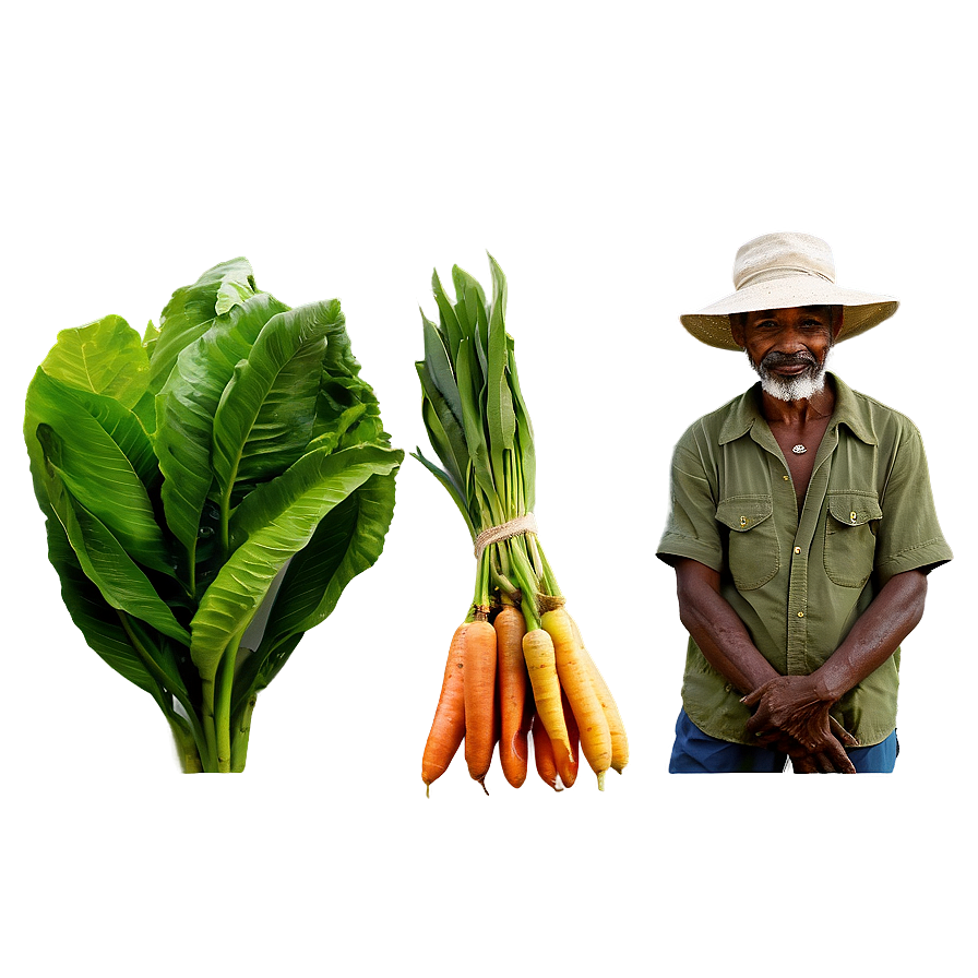 Farmer With Organic Produce Png Tcl26 PNG Image