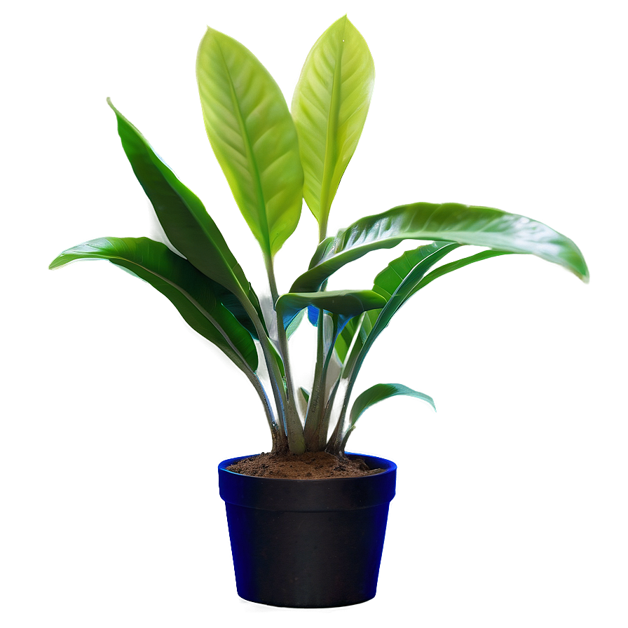 Fast Growing Plants Png Vev PNG Image