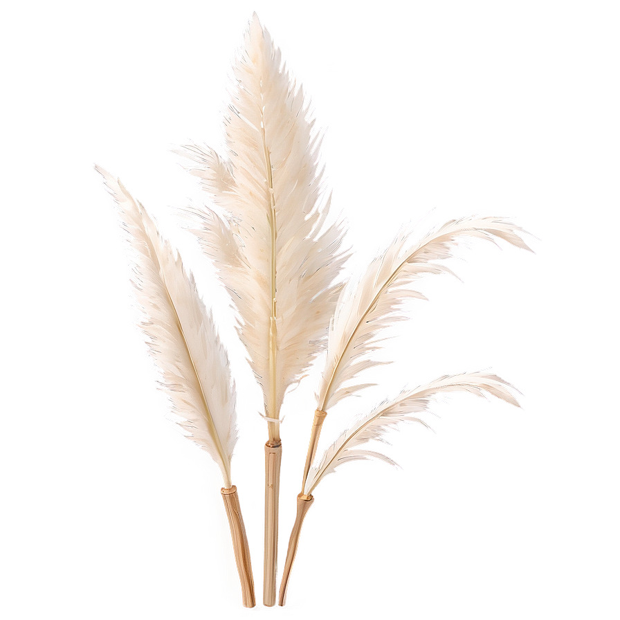 Faux Pampas Grass Png 47 PNG Image