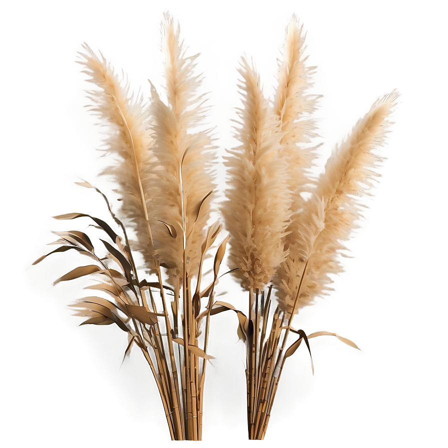 Faux Pampas Grass Png Sfj PNG Image