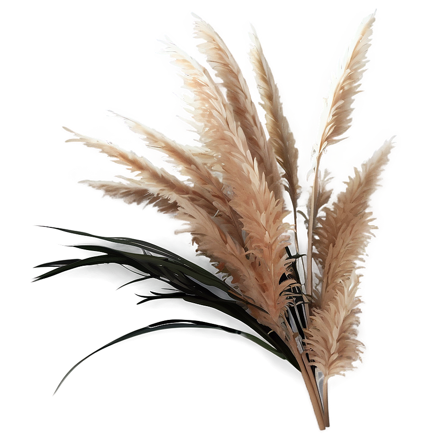 Faux Pampas Grass Png Tay PNG Image