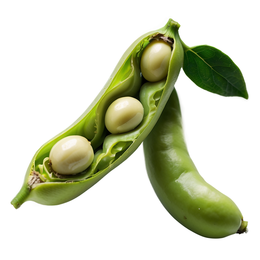 Fava Beans Png Iuf PNG Image