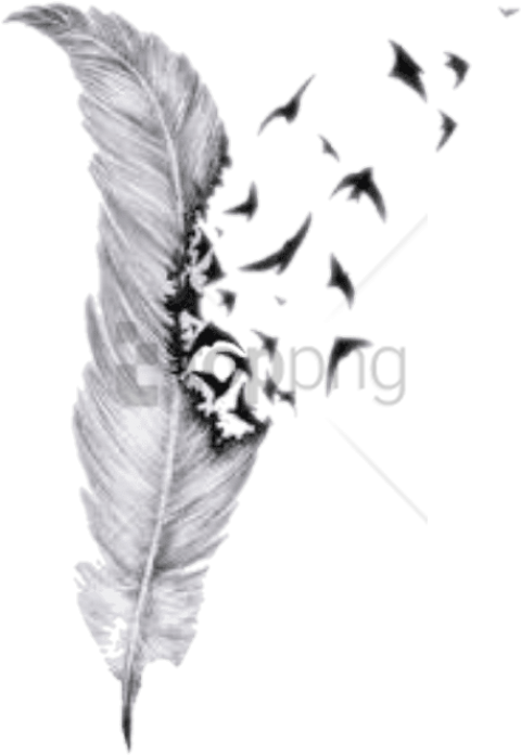 Feather Dissolving Effect PNG Image