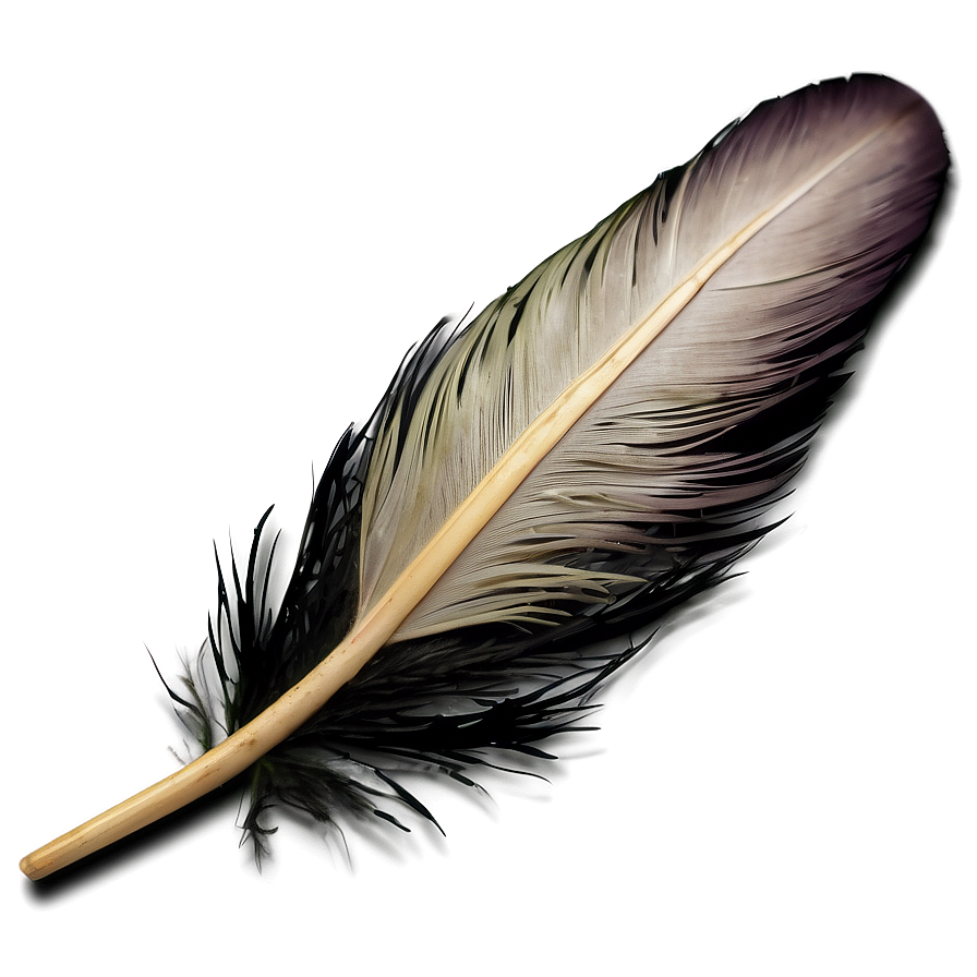 Feather Fashion Accessory Png 81 PNG Image