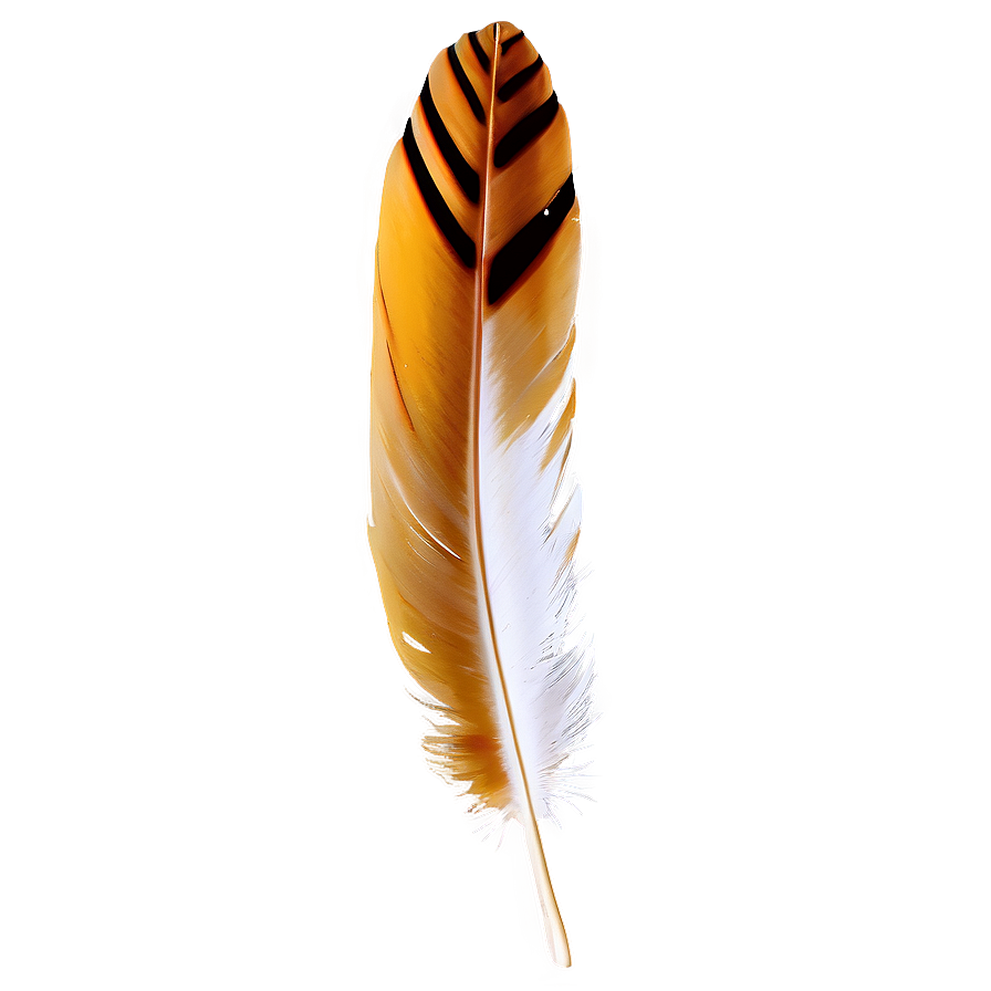 Feather On Vintage Paper Png 28 PNG Image