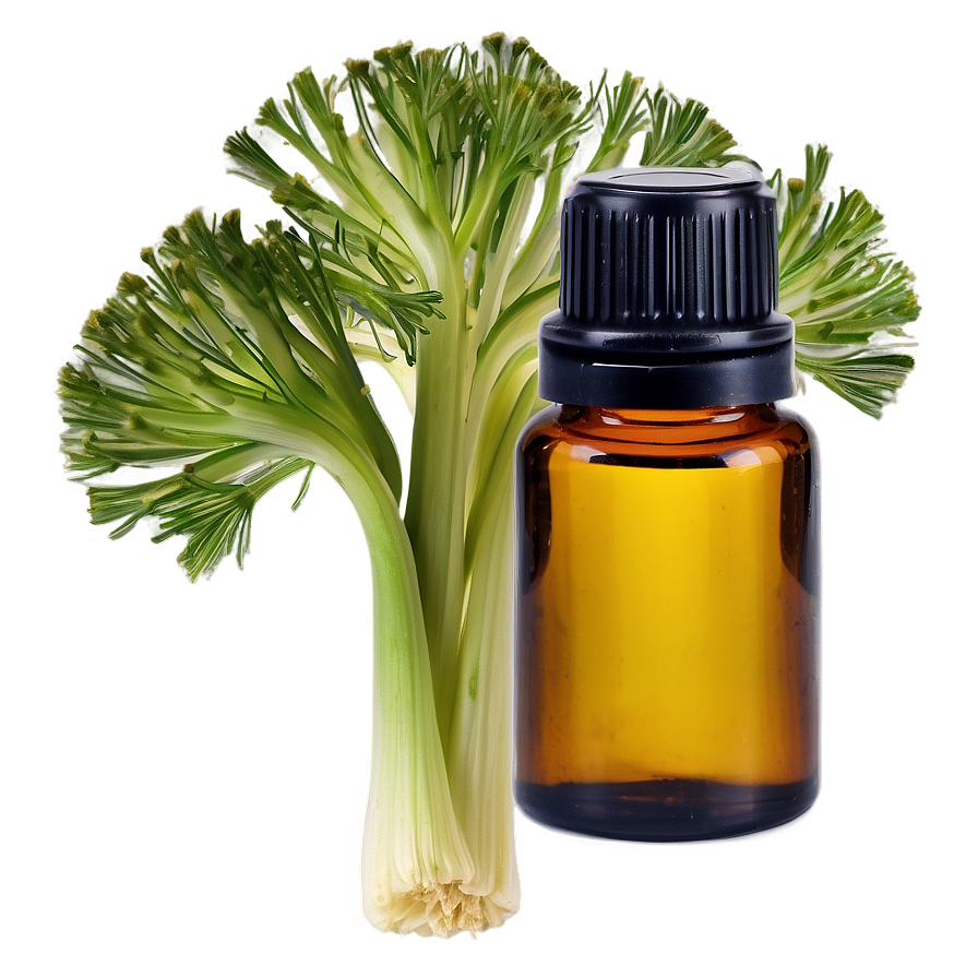 Fennel Essential Oil Png 67 PNG Image