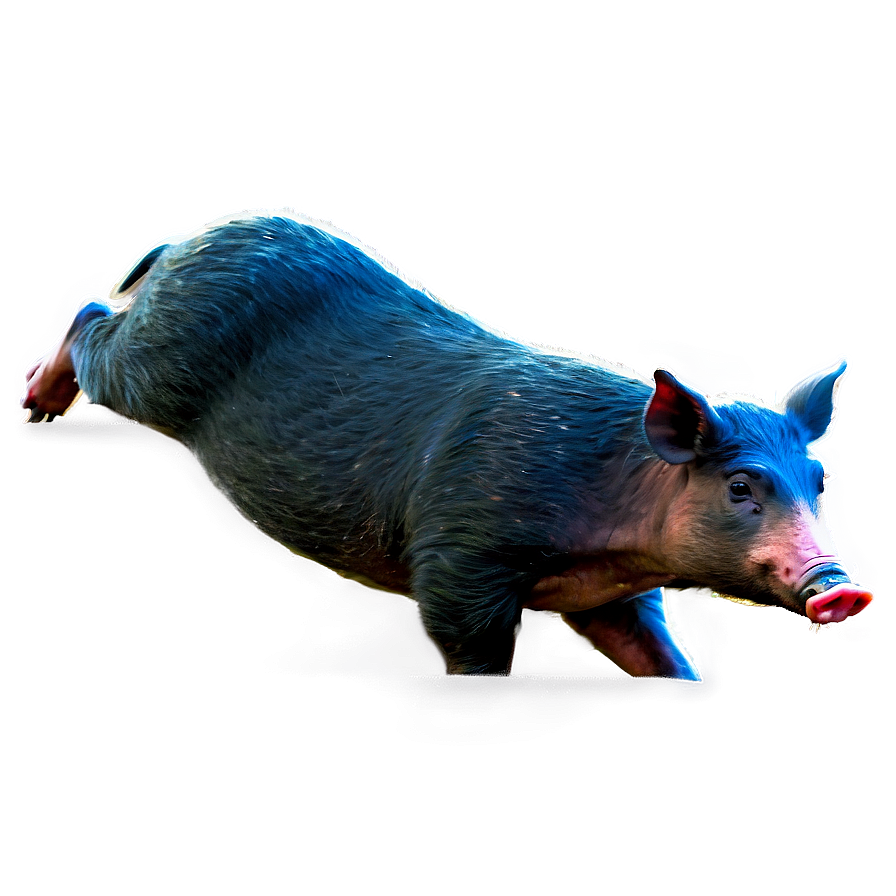 Feral Hog Png 06252024 PNG Image