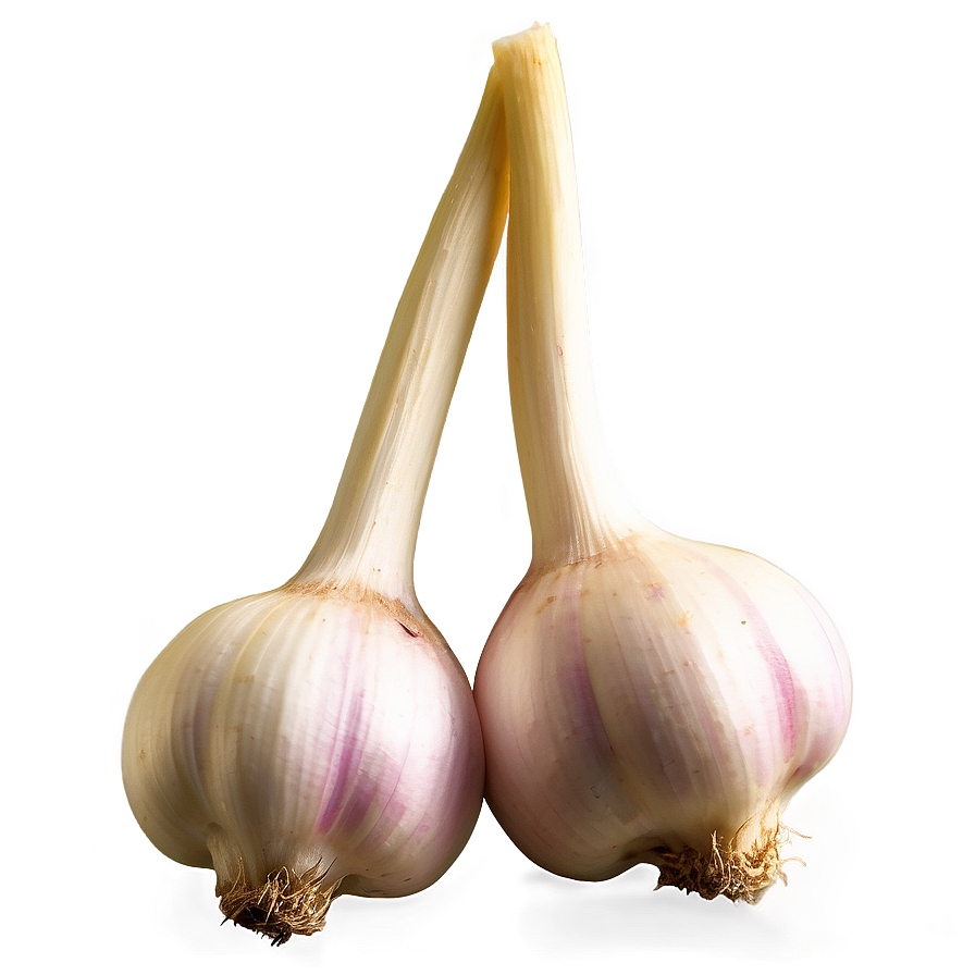 Fermented Garlic Png 05242024 PNG Image