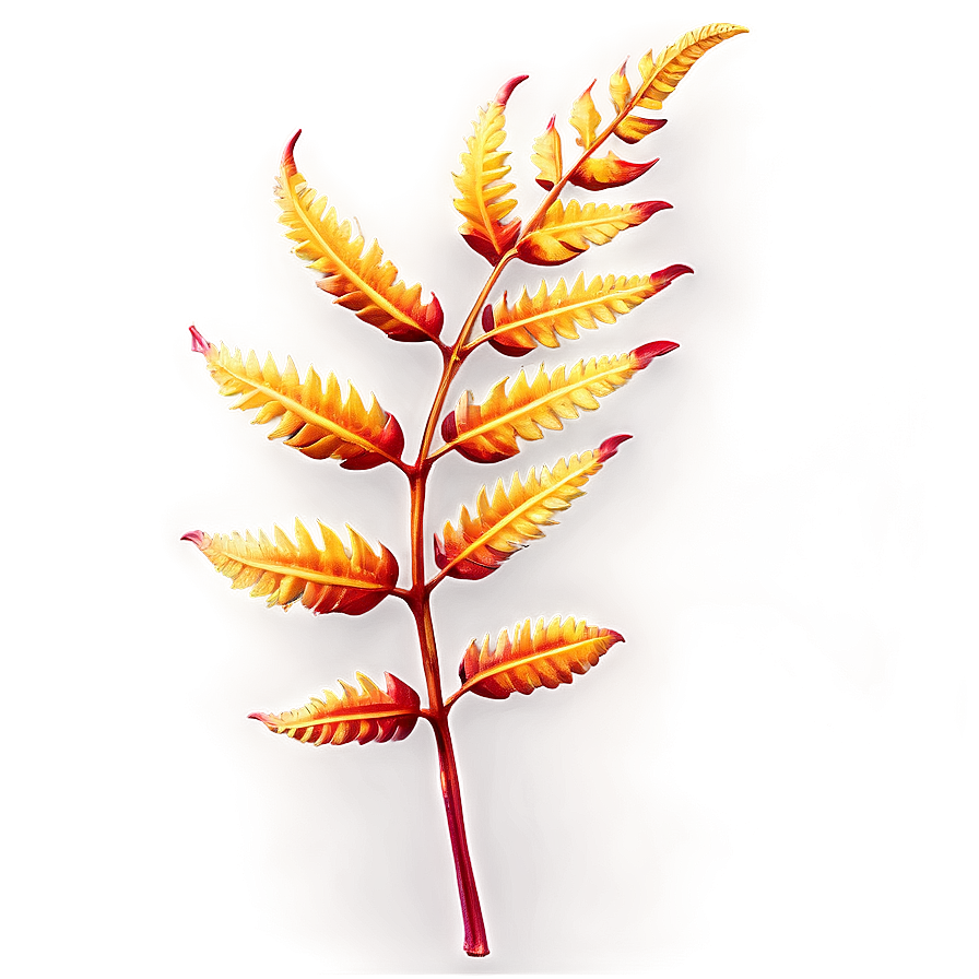 Fern Leaf In Autumn Colors Png Ggy PNG Image