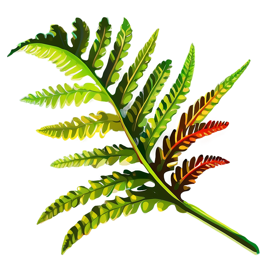 Fern Leaf In Vibrant Colors Png Xno34 PNG Image