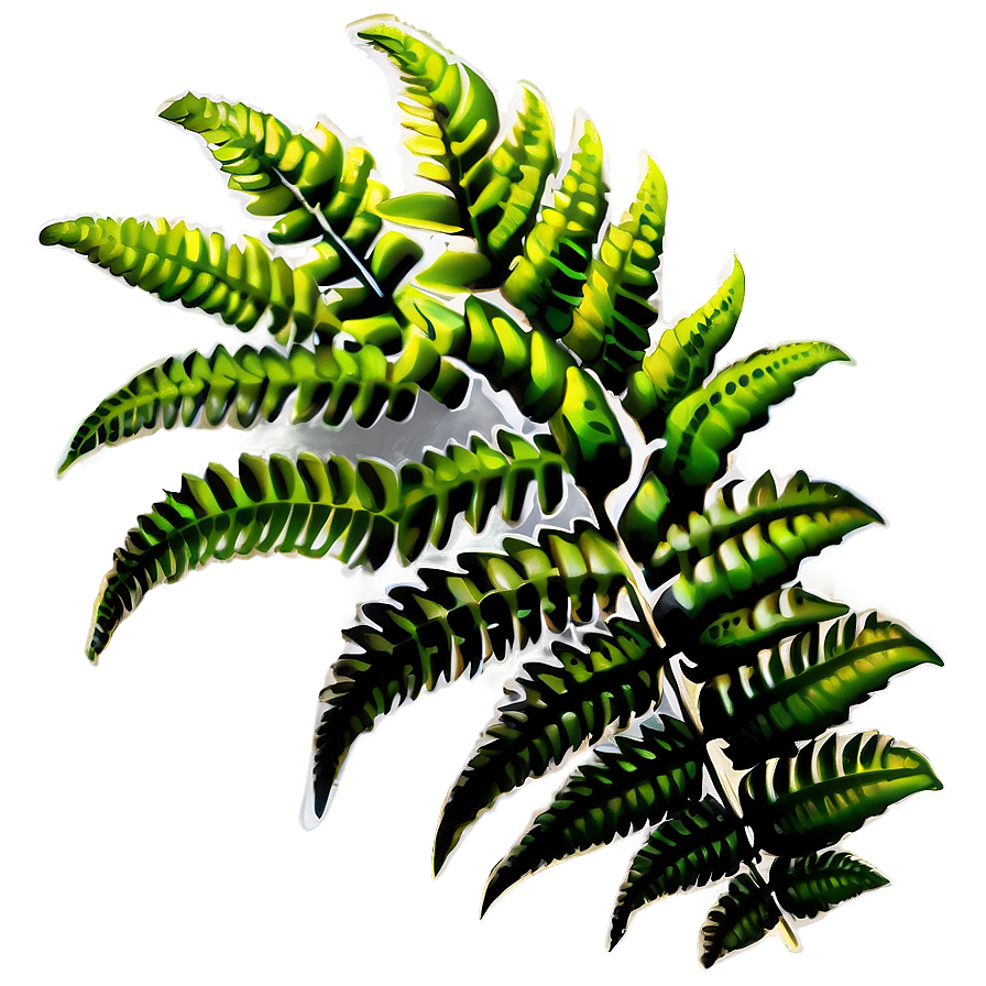 Ferns Plants Png 87 PNG Image